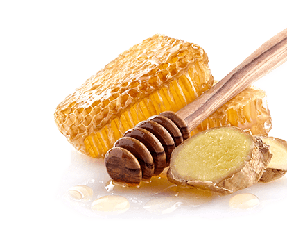 cuillere_ginseng - Lune de Miel ginseng
