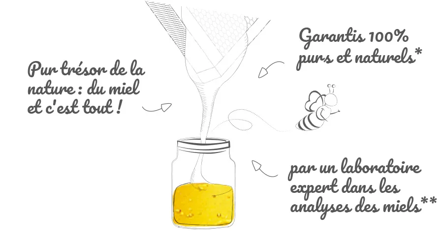 LDM_illus_pot_homepage_2024
