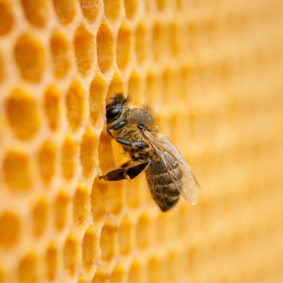 Design sans titre (8)